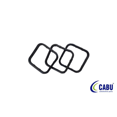 Termostat Gövde Contası (Astra H, Insignia, Vectra C, Zafira, Cruze) (221316, 2557000577550, 1338260, 55578957)
