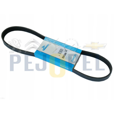 Kayış (BMW, Antara, Captiva) (6Pk2063S)