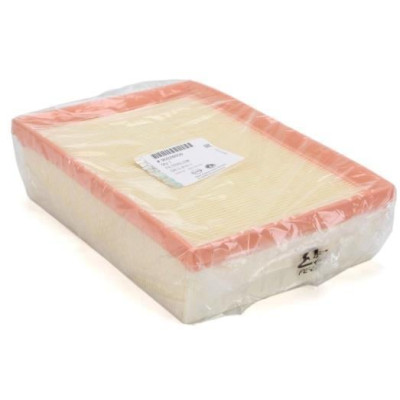 Hava Filtresi (Opel, Mokka) (834762, 95021102)