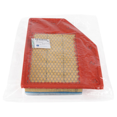 Hava Filtresi (Opel, Insignia) (23430313)