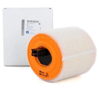 Hava Filtresi (Opel, Astra K, 1.0 / 1.4 Benzinli) (39030321)