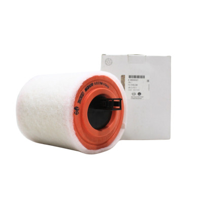 Hava Filtresi (Opel, Astra K, 1.0 / 1.4 Benzinli) (39030321)