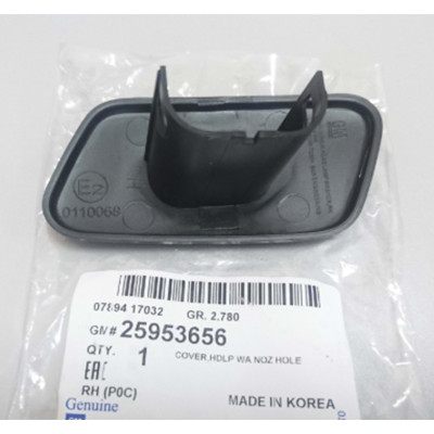 Far Yıkama Kapağı Sağ (OEM25953656, 4818190)