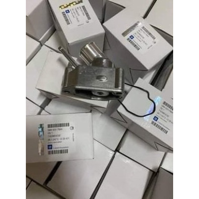 Termostat (Opel, Astra, Vectra) (1338079, 95517664, 90501081)