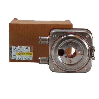 Hava Filtre Çıkış Hortumu (Chevrolet Antara 2.0 Dizel) (96628961)