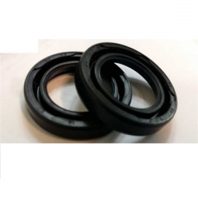 Enjektör Keçesi (Chevrolet, Captiva, Antara) (96440307)