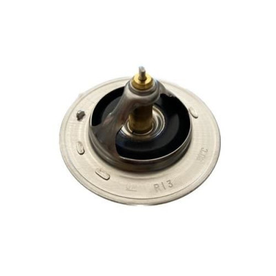 Termostat (Chevrolet, Captiva, 2.0 Dizel) (96440407, 4805178)