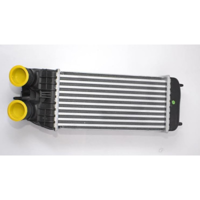 Radyatör (Opel, Astra H, 1.3 D) (6302076, 6302072)