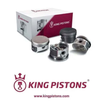 Piston & Rings (Opel, Astra Corsa Tigra Zafira Vectra) (18-3010383, 2557000948155)