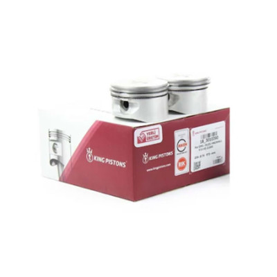 Piston + Sekman Takımı (Chevrolet, Aveo Kalos, 1.2 8V) (18-1010113, 96325191)