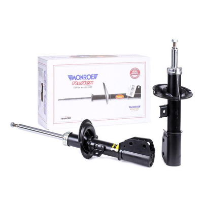 Amortisör (Chevrolet, Captiva, Antara 06) (D0409, 5412096455711)