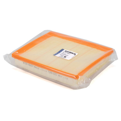 Hava Filtresi (39146837)