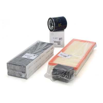 Polen Filtresi (Karbonlu) (Peugeot, 3008, 5008) (6447.XG, 9821501880)