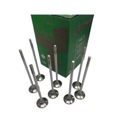 Subap Takımı (Opel, Astra Twinport) (Z16Xe)