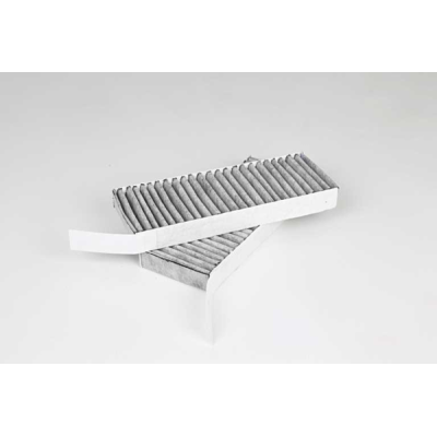 Polen Fıltresi Karbonlu (Peugeot 308, Opel Astra L) (BSG 70-145-019, 70-145-019, 9804163480)