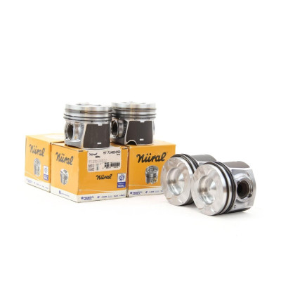 Piston Segman (8773465050, 625113)