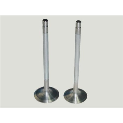 Subap Takımı (Opel, Insıgnıa, 1.9 / 2.0Cdtı) (In 8 / 8, 4056-4057 641074 641386 Z19Dth) Subap Takımı (Opel, Insıgnıa, 1.9 / 2.0Cdtı) (In 8 / 8, 4056-4057 641074 641386 Z19Dth)