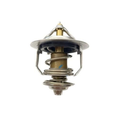 Termostat (Chevrolet, Captiva, 2.0 Dizel) (96440407, 4805178)