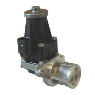 EGR Valfi (Fiat, Doblo, 1.3) EGR Valfi (Fiat, Doblo, 1.3)